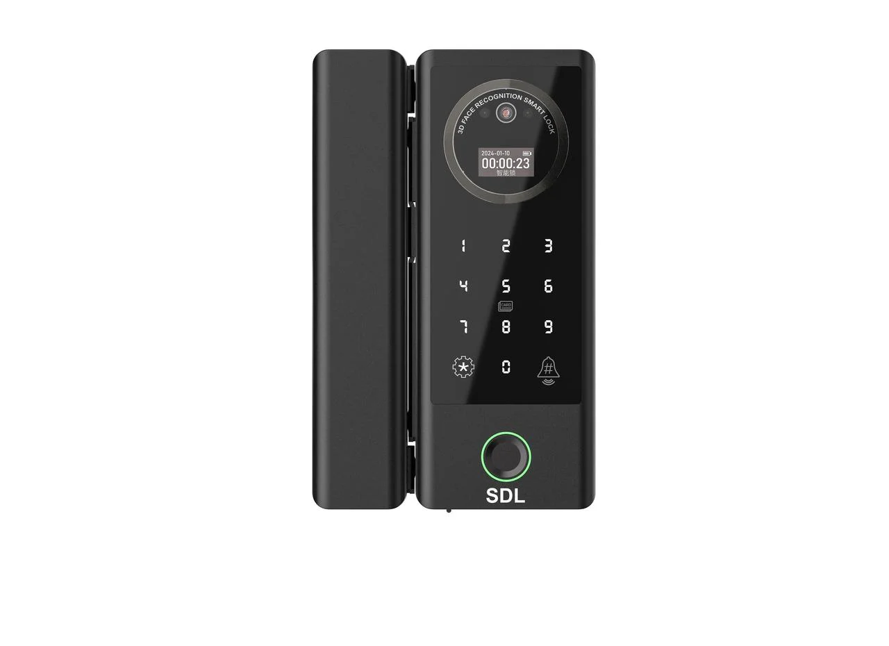 SDL 005: The Pinnacle of Glass Door Security
